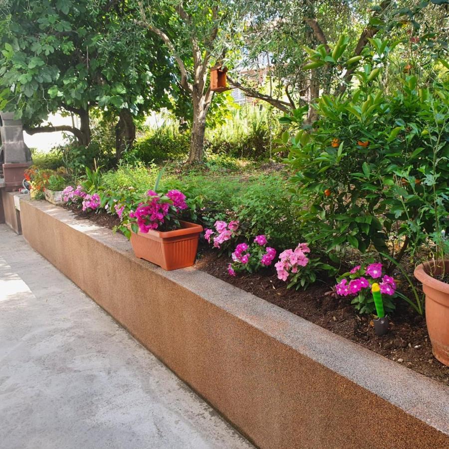 Apartma Lana21 Apartment Koper Exterior photo